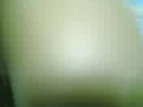 لیلی شلخته خروس ناتن ...