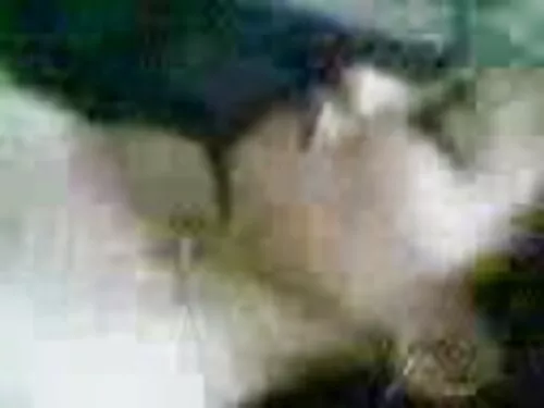 خدمات جنسی MILF مشتر ...