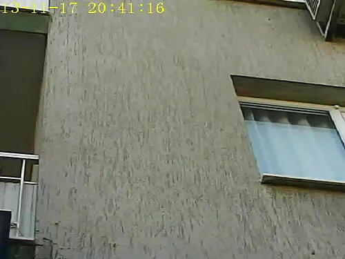 Nosy Neighbors Compi ...