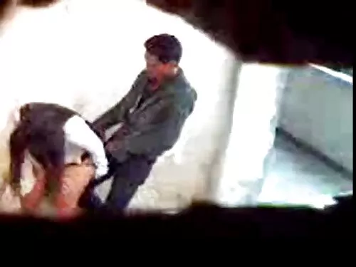 نگاه کردن به جوجه ها ...