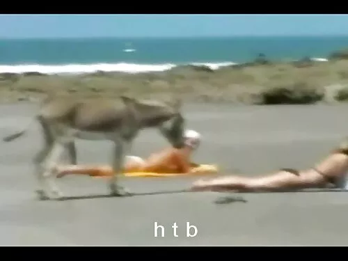 شادی صبحگاهی با سبزه ...
